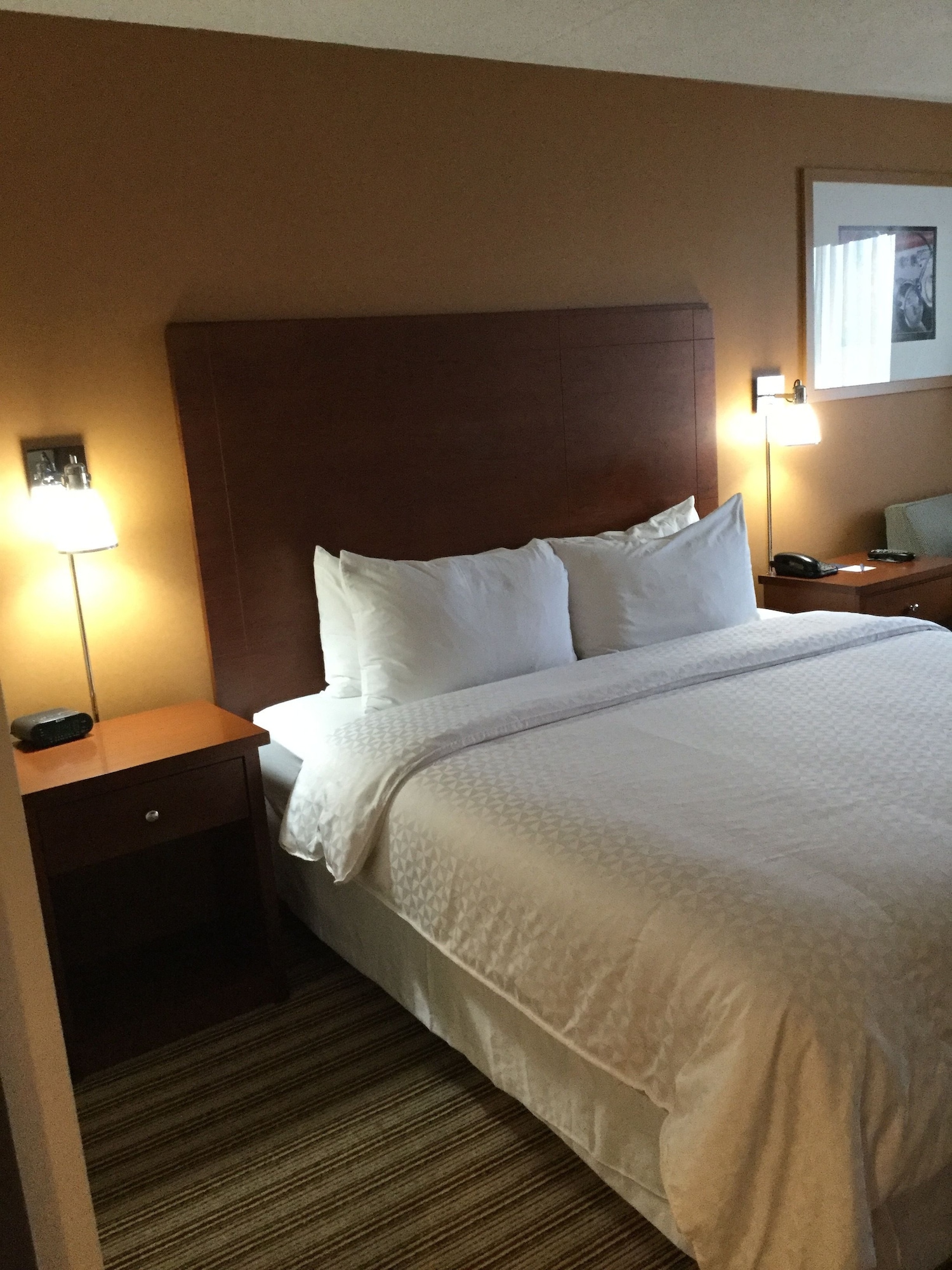radisson hotel detroit metro airport