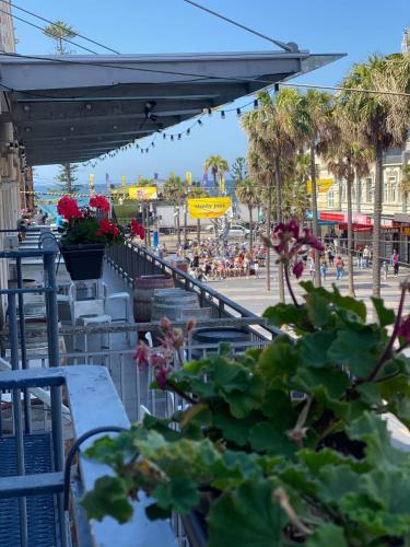 boardrider backpacker and budget motel