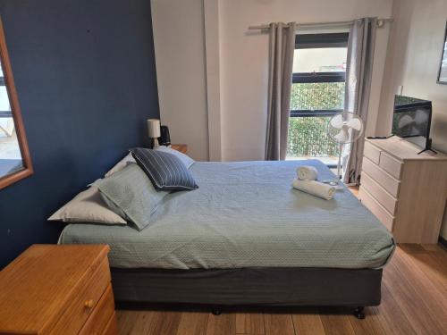 boardrider backpacker and budget motel