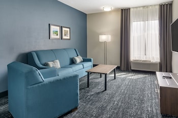 comfort inn and suites troutville roanoke north daleville