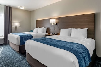 comfort inn and suites troutville roanoke north daleville
