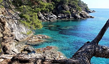 hotel restaurant la villa arena