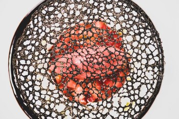 hotel restaurant la villa arena