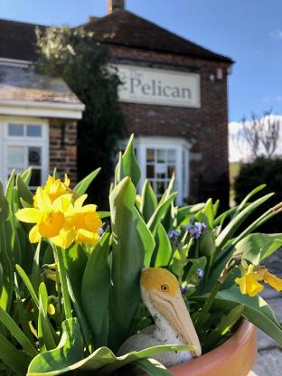 the pelican inn