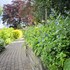 waveney house hotel