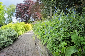 waveney house hotel
