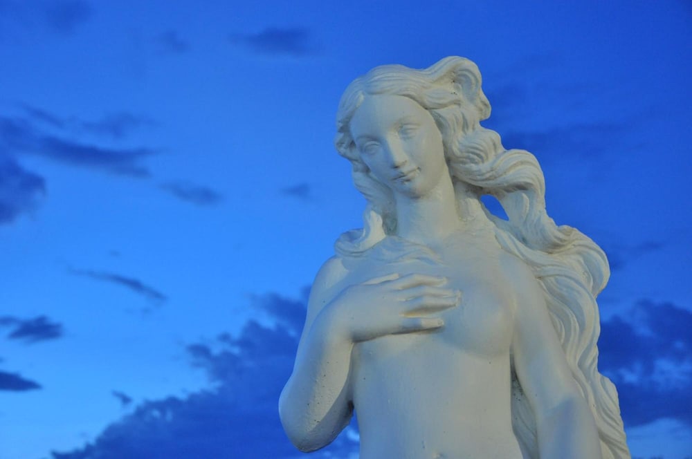 hotel terme rosaleo