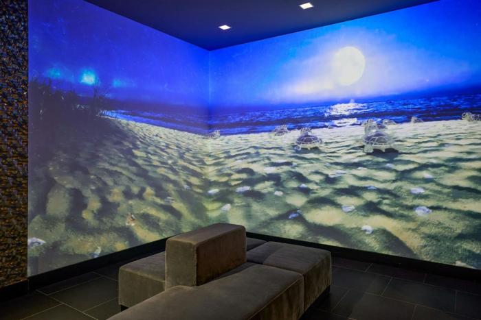 renaissance daytona beach oceanfront hotel