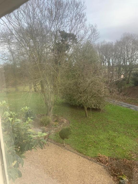 north walsham
