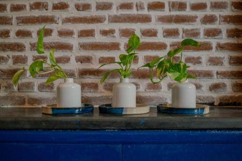 residence de leveche cgh earth