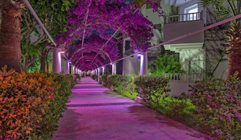 bodrum