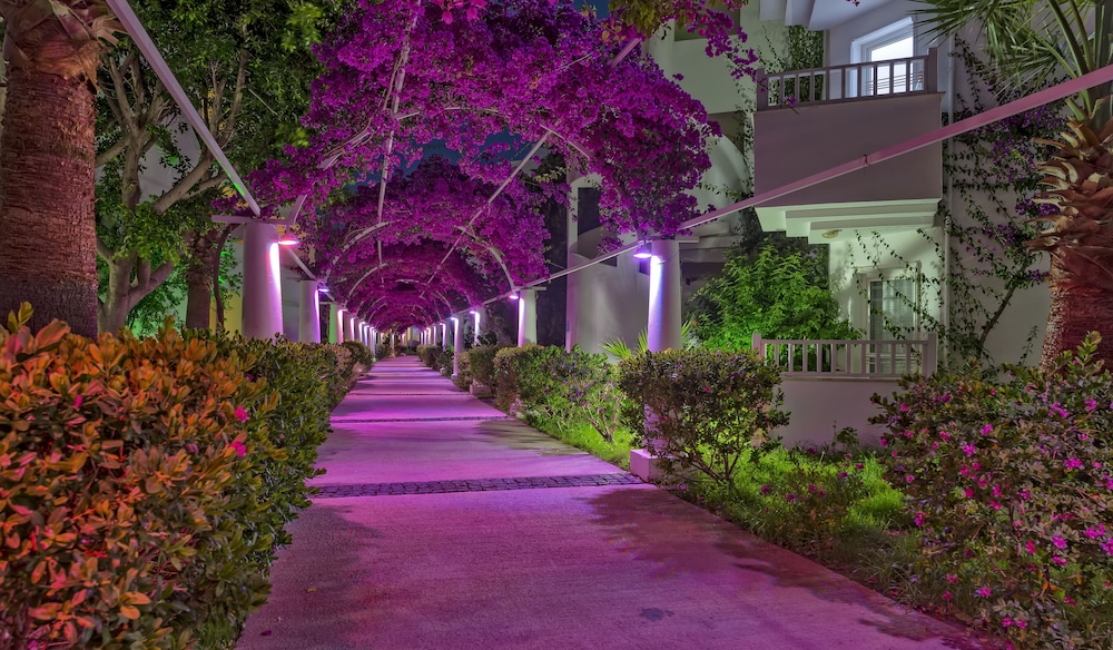 bodrum