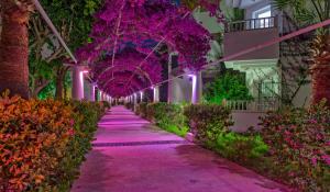 bendis beach hotel