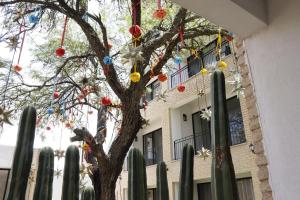 residencias la estacion san miguel de allende