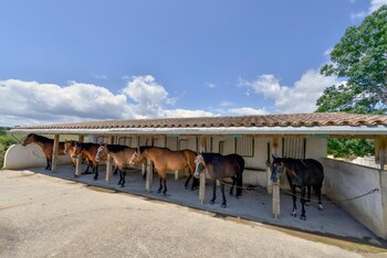 domaine de fraisse