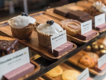 hotel avail rogers tapestry collection by hilton