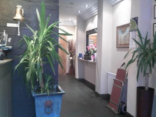 hotel viento del norte