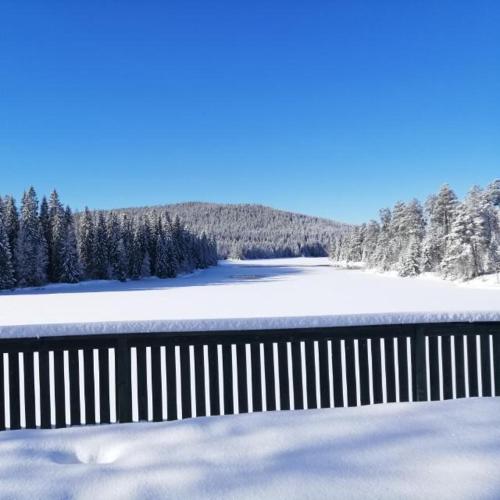 vardshuset lugnet