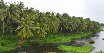 anaimalai