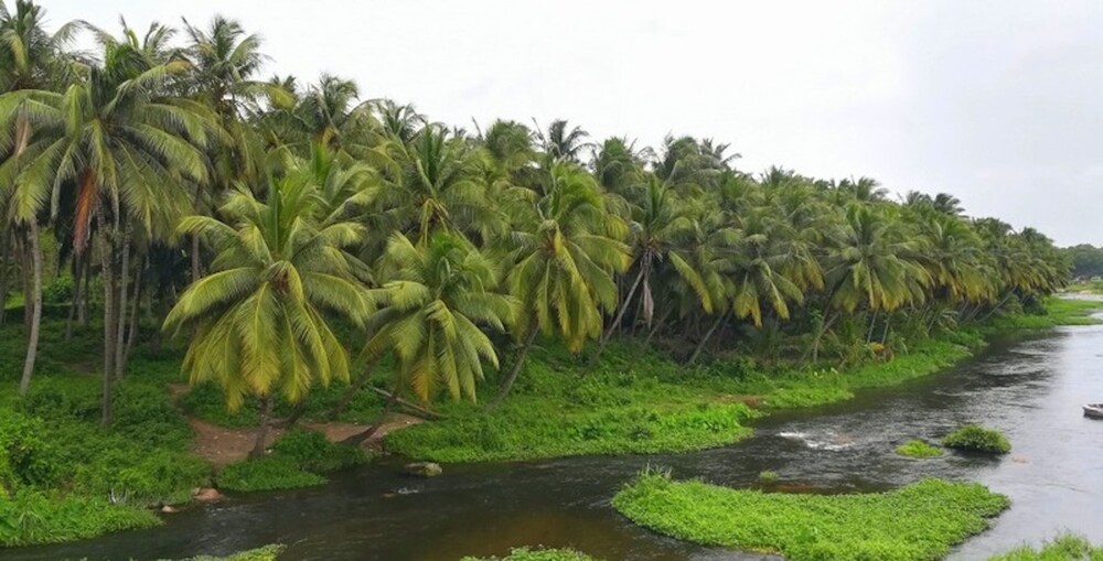 anaimalai