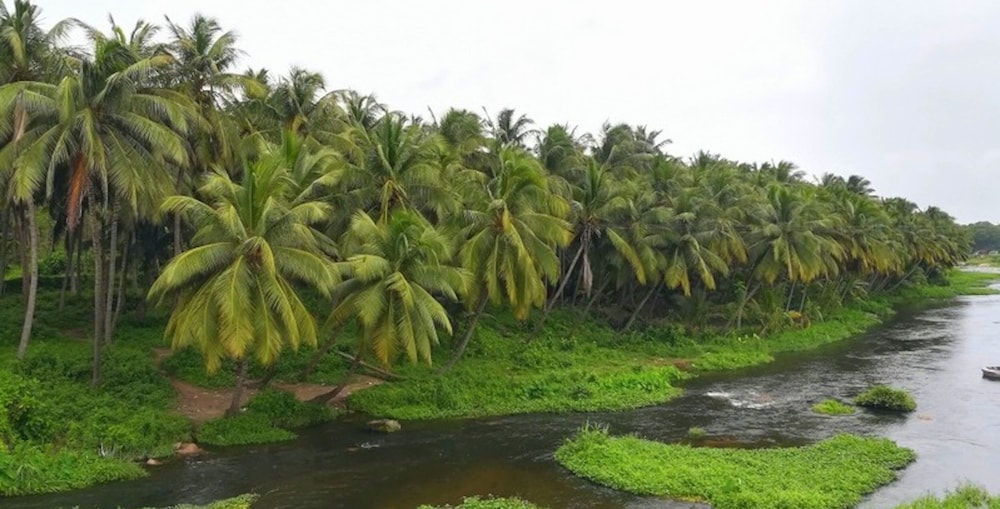 anaimalai