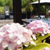 hotel olivier