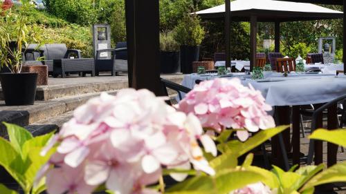 hotel olivier