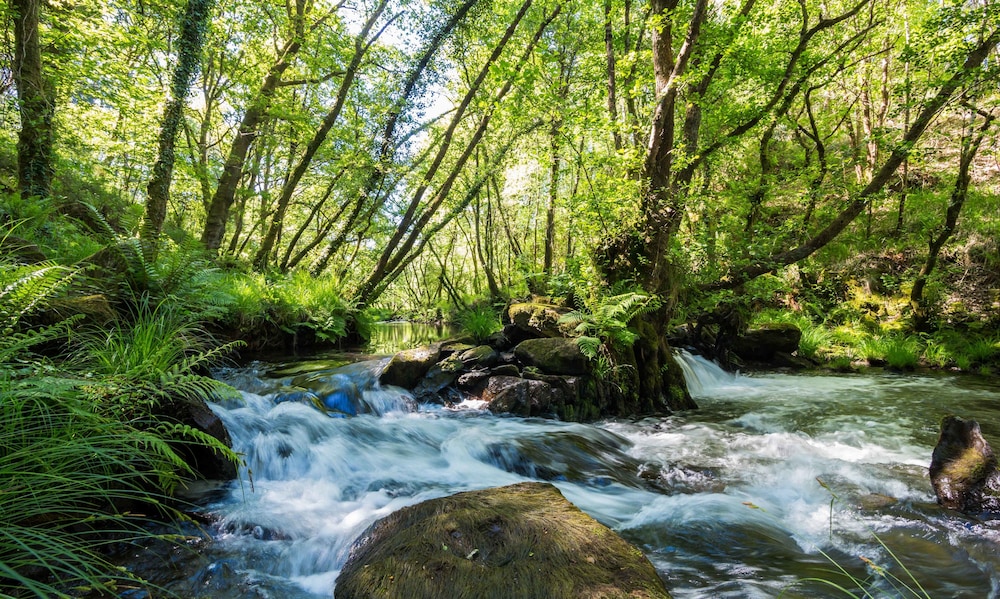 o muino de pena casa rural