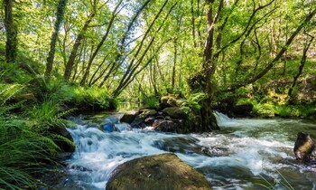 o muino de pena casa rural