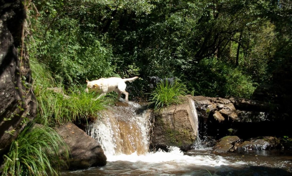 o muino de pena casa rural