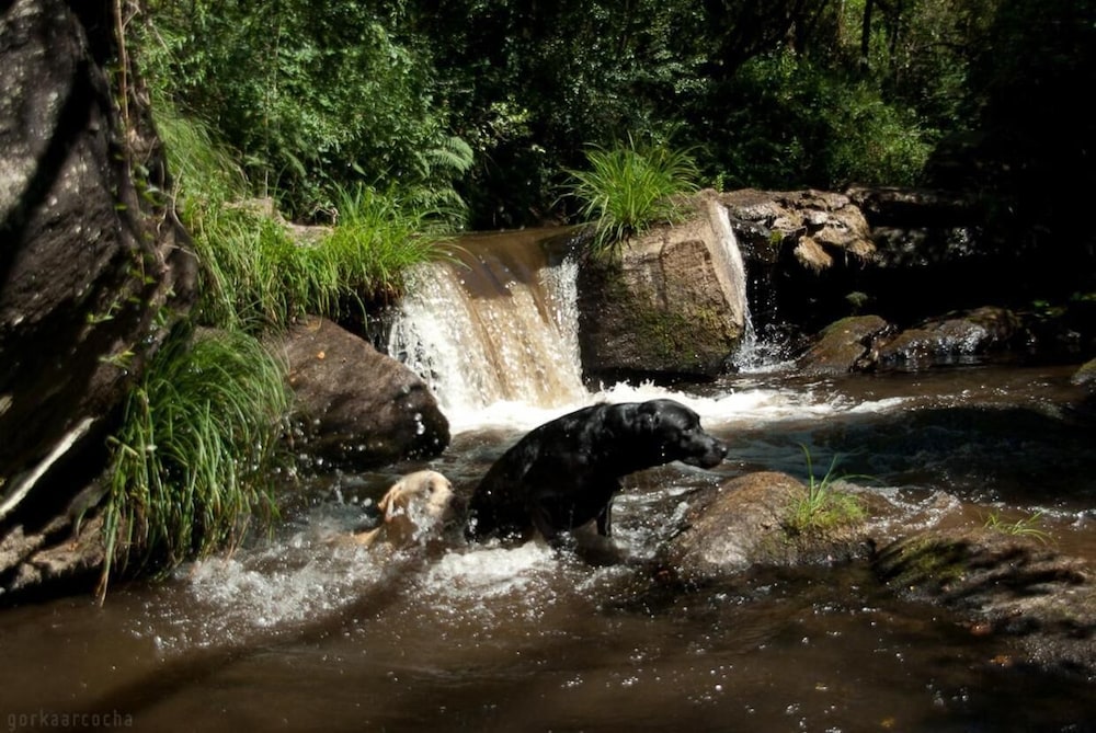 o muino de pena casa rural