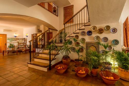 los casta os adults only