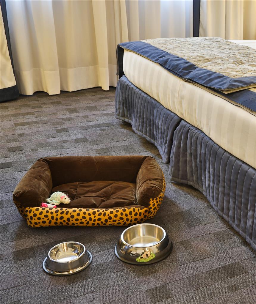 best western plus borgolecco hotel