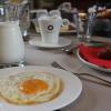 hotel amaryllis veurne