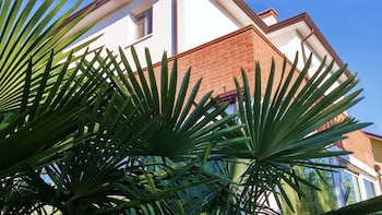 Dream,Near The Airport,3 star