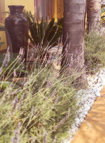 3 brothers bed and breakfast