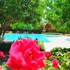 woodline hotel