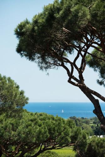 ramatuelle