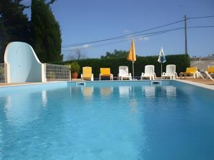 villa well by villa welwitshia mirabilis