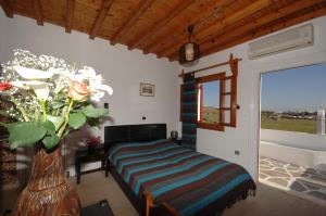 villa vasilis