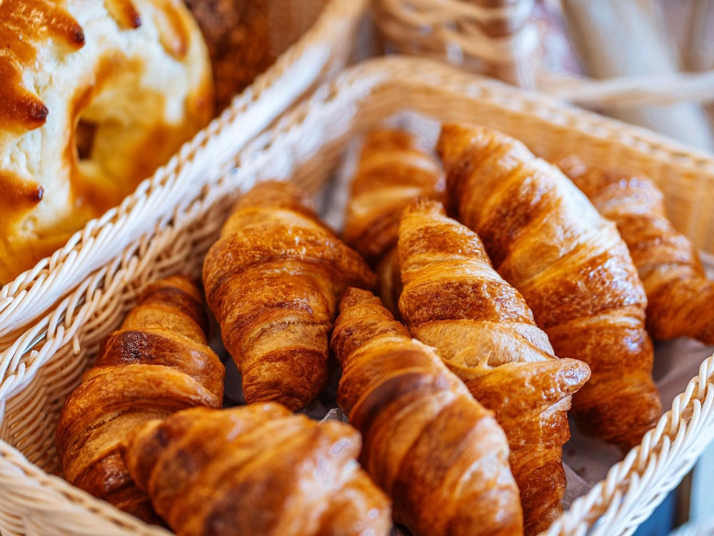 ibis styles lyon croix rousse
