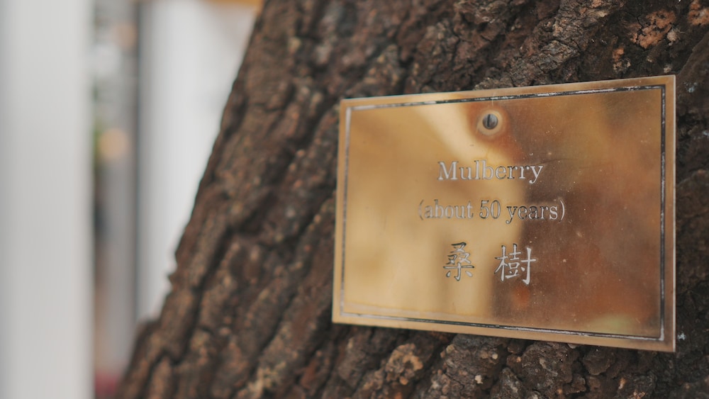 pousada de sao tiago