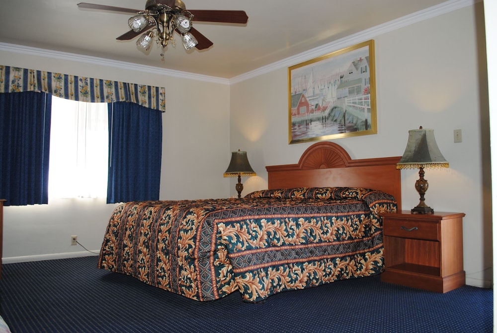 viking motel
