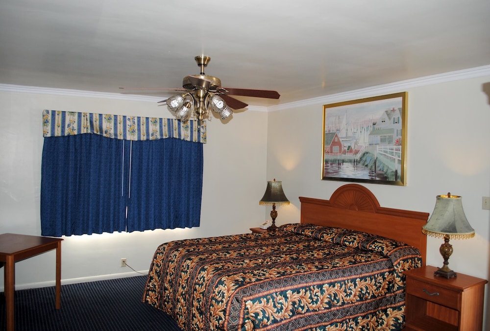 viking motel