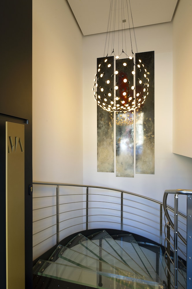 gatto bianco mia aparthotel