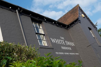 the white swan