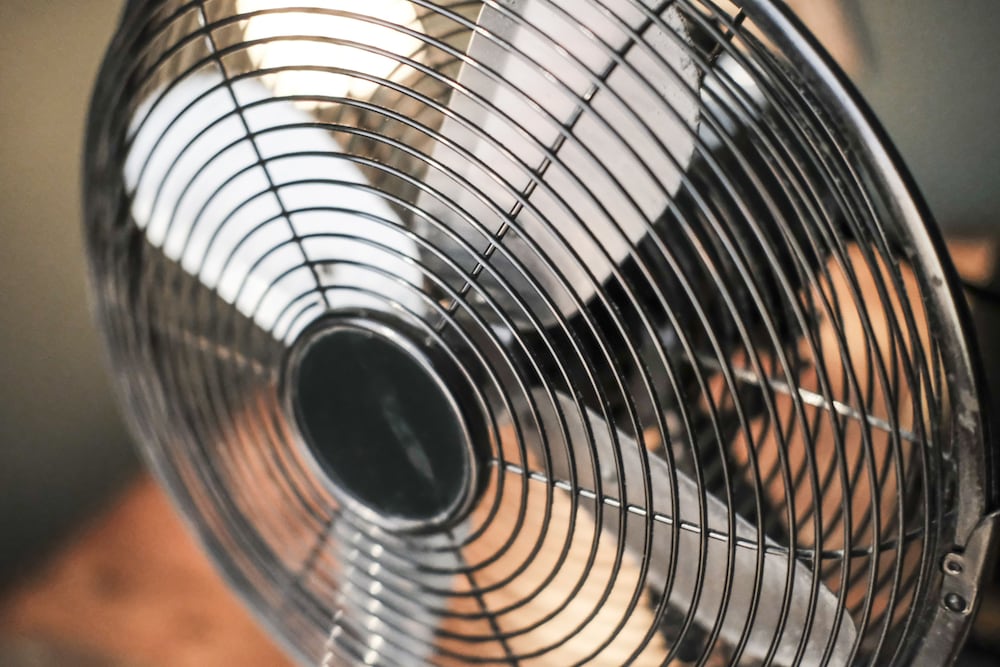 the white star tavern