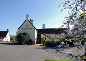 the white horse