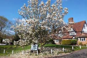 The Brickwall Hotel,East Sussex>>Battle,3 star