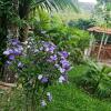 sitio borges